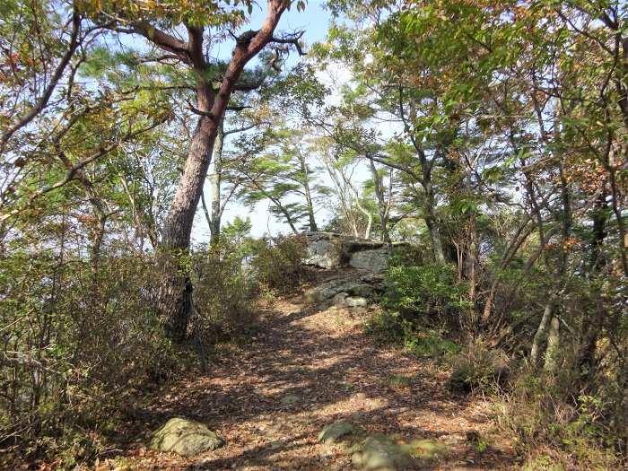 三田市乙原/千丈寺山