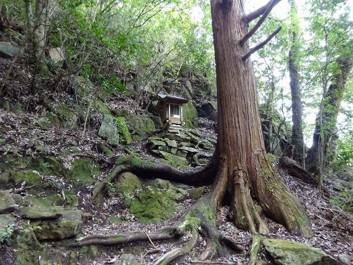 三田市香下/羽束山・甚五郎山・宰相ヶ岳