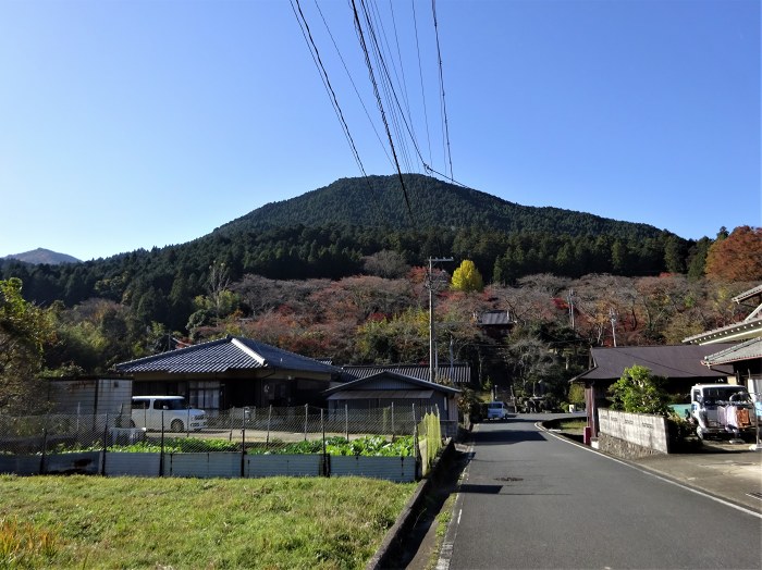 丹波市山南町谷川/竹林山