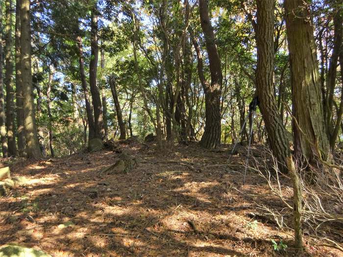 丹波市山南町谷川/竹林山