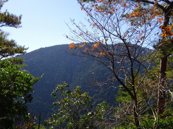 丹波市山南町谷川/竹林山