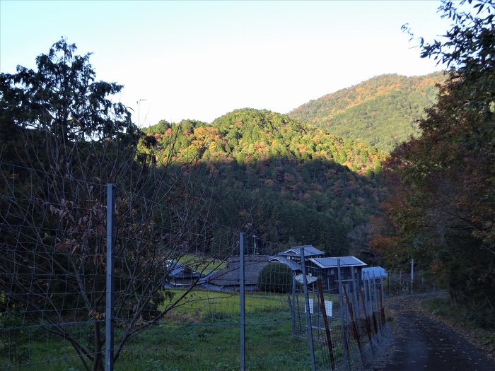 丹波市山南町谷川/行者山