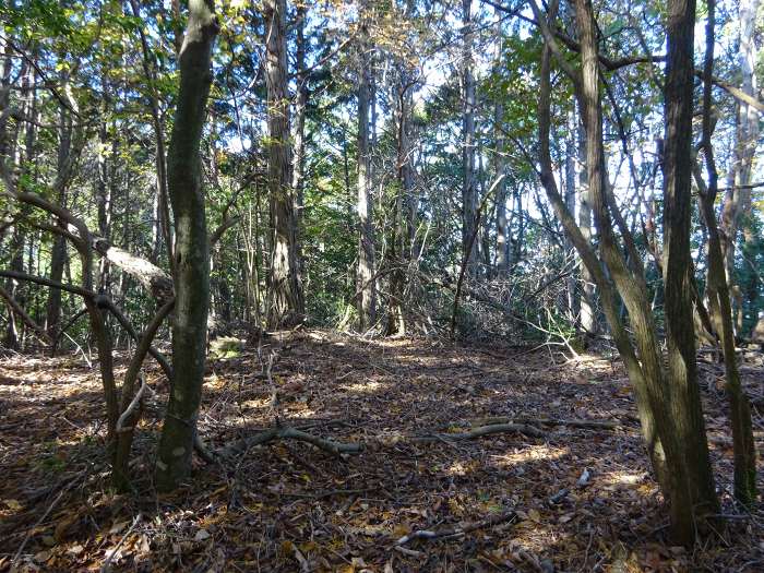 丹波市山南町谷川/行者山