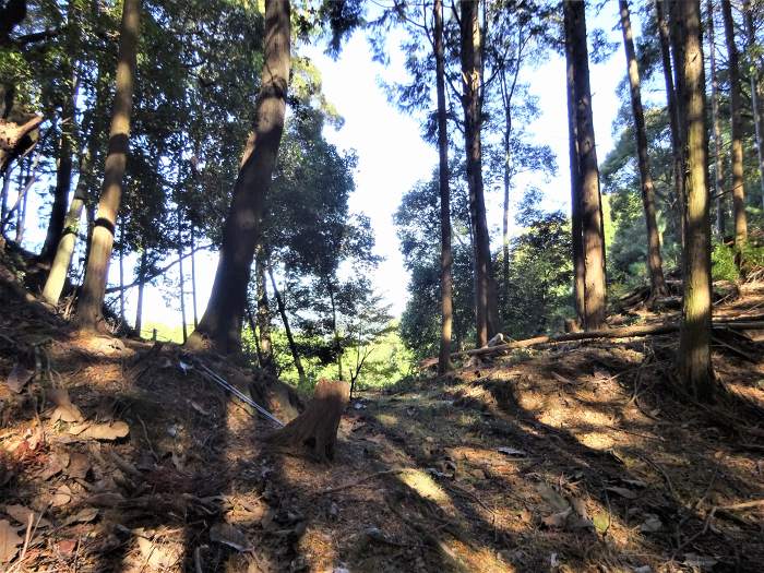 丹波市山南町谷川/行者山