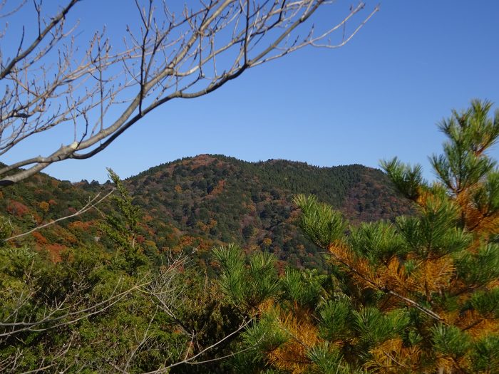 丹波市山南町谷川/妙見山