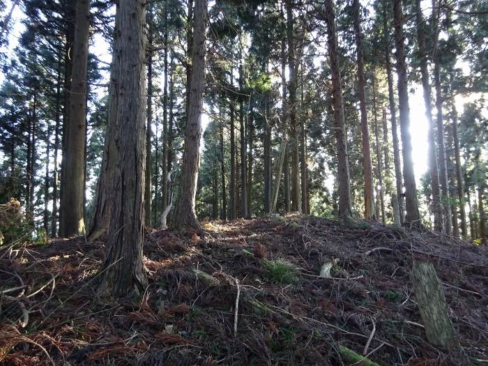 船井郡京丹波町稲次/三峠山