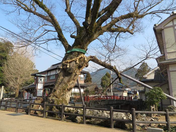 丹波市柏原町柏原/木の根橋奥村川写真