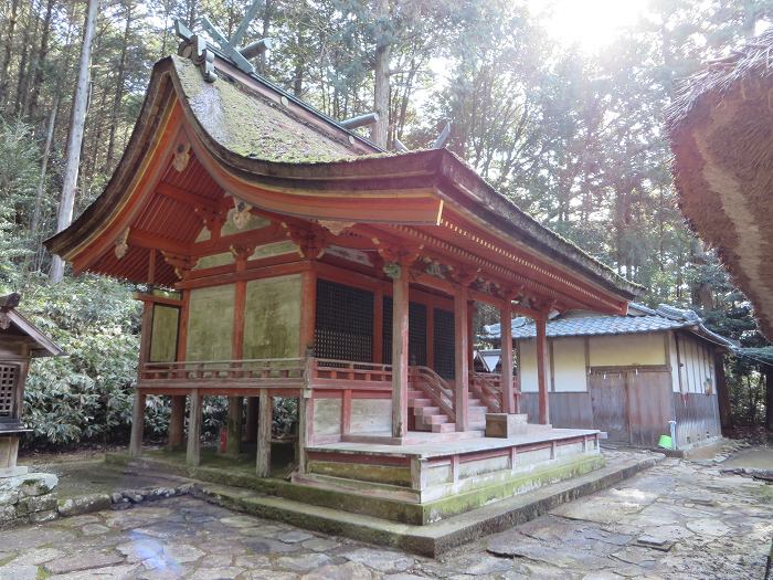 加東市上鴨川/住吉神社本殿写真