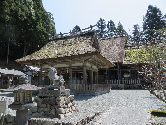 南丹市園部町竹井/摩気神社覆屋写真