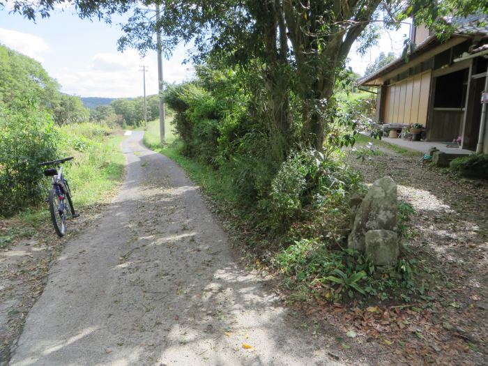 篠山市今田町市原/只越峠～木津/梅木峠を散策