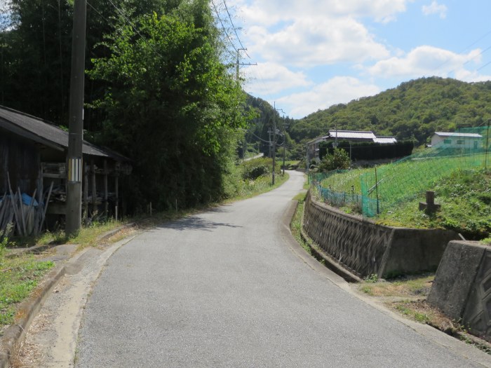 篠山市今田町市原/只越峠～木津/梅木峠を散策