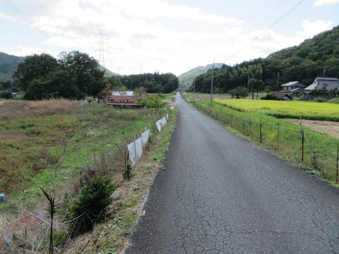 篠山市今田町市原/只越峠～木津/梅木峠を散策