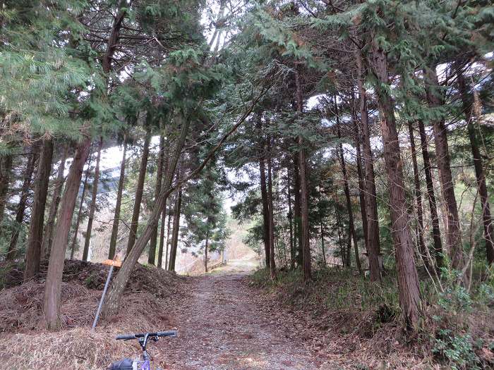 篠山市今田町上立杭/虚空蔵山を散策