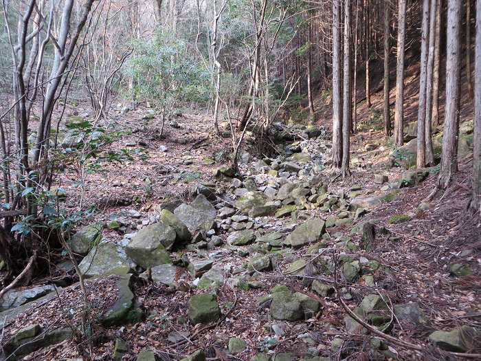 篠山市今田町上立杭/虚空蔵山を散策