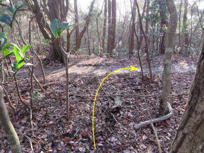 篠山市今田町上立杭/虚空蔵山を散策