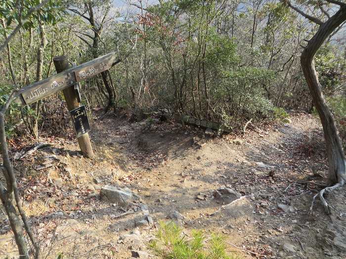 篠山市今田町上立杭/虚空蔵山を散策