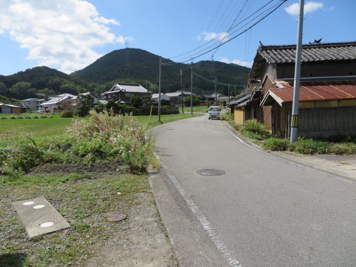 篠山市今田町市原/只越峠～木津/梅木峠を散策