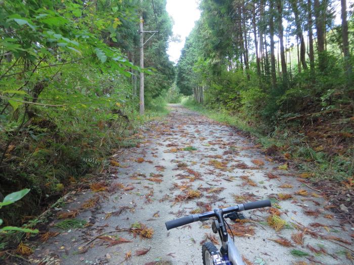 篠山市今田町市原/只越峠～木津/梅木峠を散策