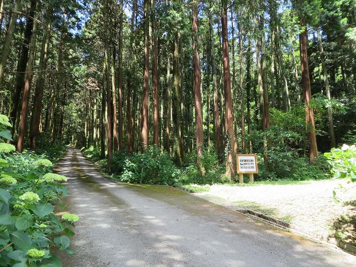 篠山市今田町下小野原/和田寺山を散策