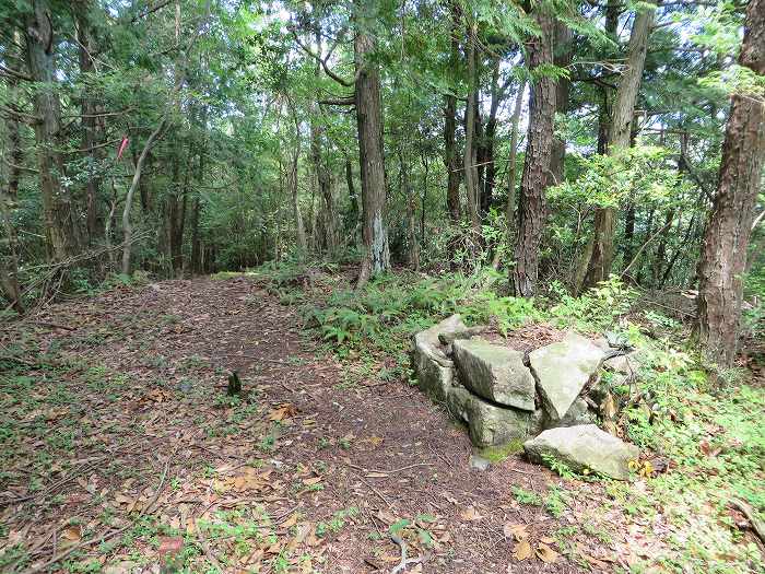 篠山市今田町下小野原/和田寺山を散策