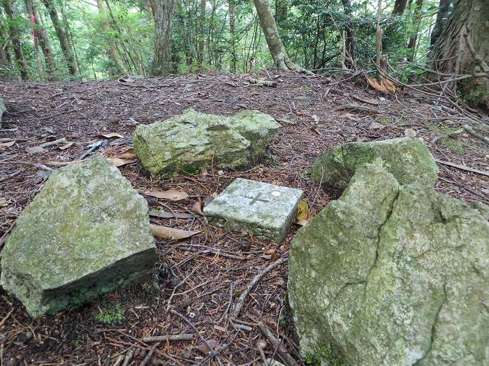 篠山市今田町下小野原/和田寺山を散策