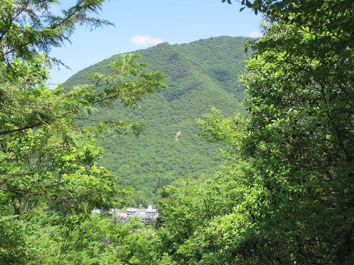 篠山市今田町下小野原/和田寺山を散策