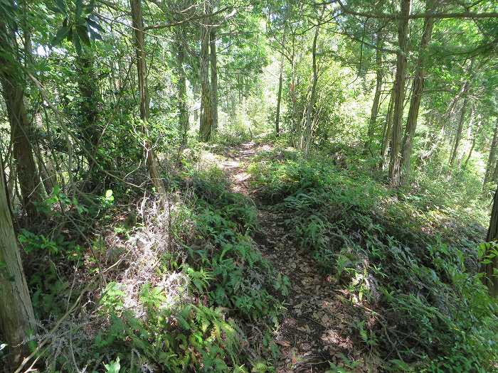 篠山市今田町下小野原/和田寺山を散策