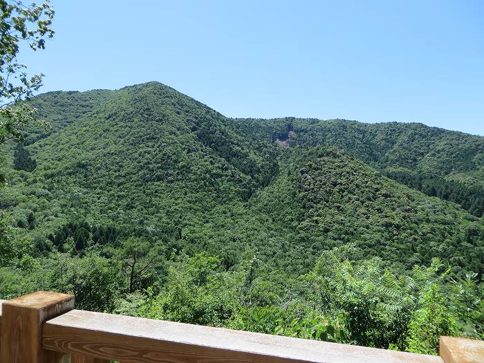 篠山市今田町下小野原/和田寺山を散策