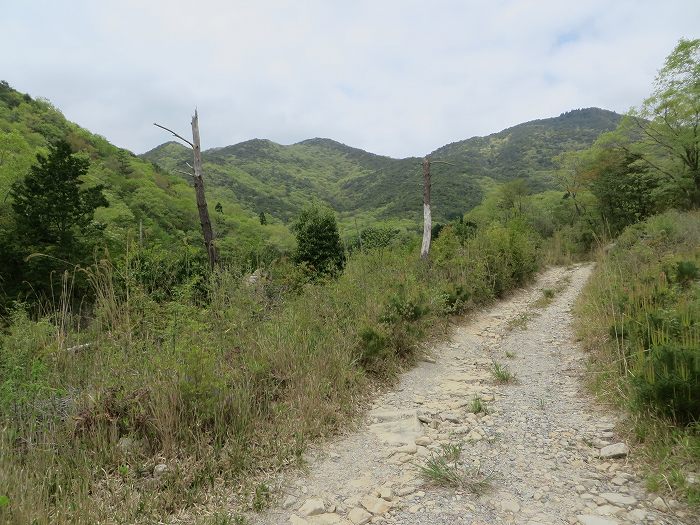 篠山市今田町本荘/西光寺山を散策