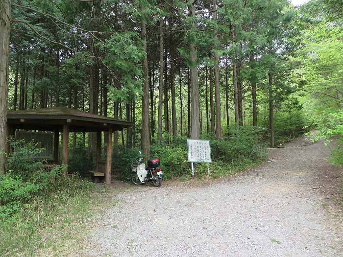 篠山市今田町本荘/西光寺山を散策