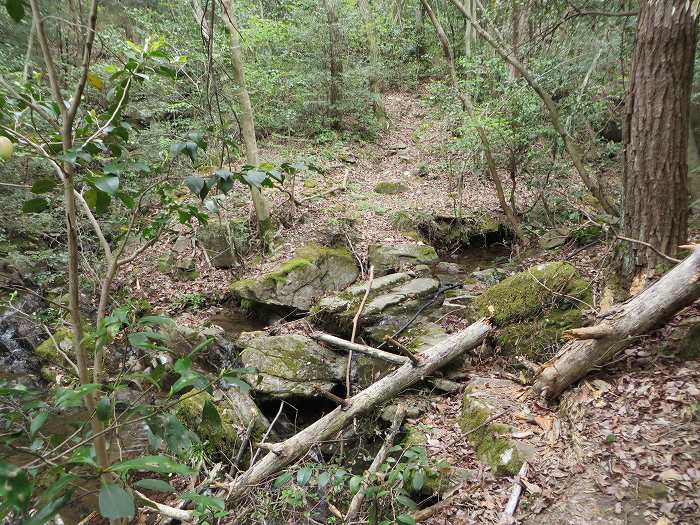 篠山市今田町本荘/西光寺山を散策