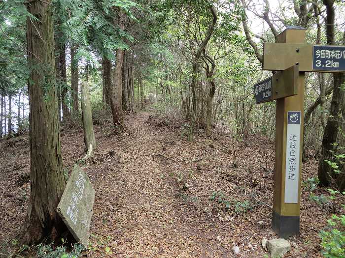 篠山市今田町本荘/西光寺山を散策