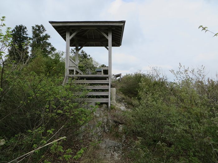 篠山市今田町本荘/西光寺山を散策