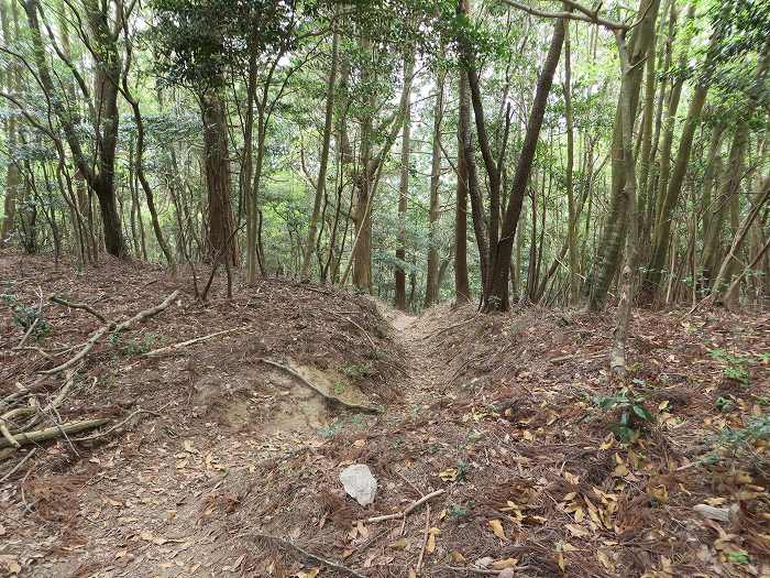 篠山市今田町本荘/西光寺山を散策