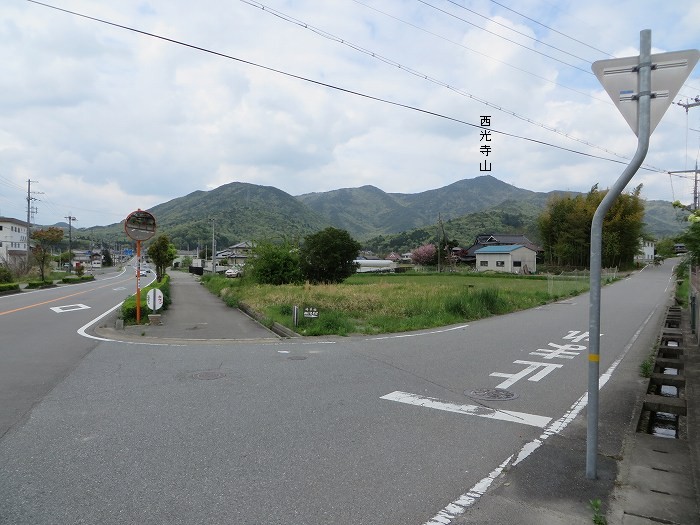 篠山市今田町本荘/西光寺山を散策