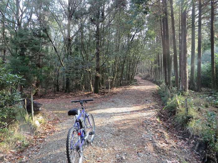 篠山市古森/海見山を散策