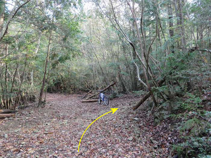 篠山市古森/海見山を散策