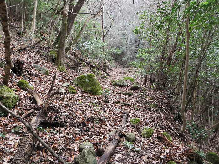 篠山市古森/海見山を散策