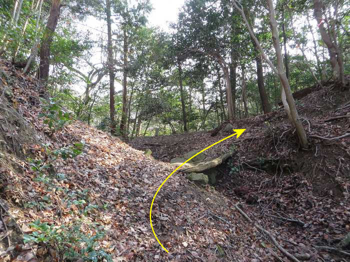 篠山市古森/海見山を散策