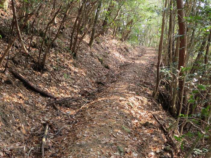 篠山市古森/海見山を散策