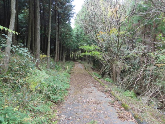 篠山市今田町四斗谷/トンガリ山～今田町黒石/黒石峠を散策