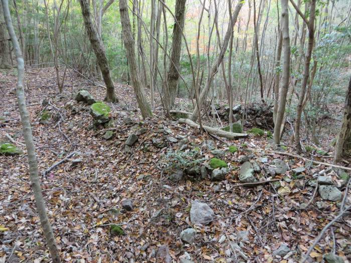 篠山市今田町四斗谷/トンガリ山～今田町黒石/黒石峠を散策