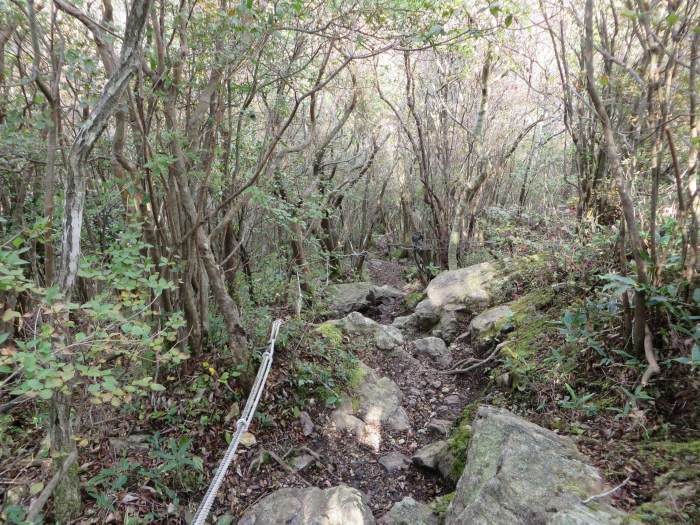 篠山市住山/白髪岳～松尾山を散策