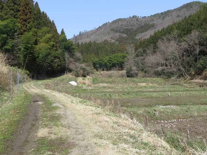 篠山市古市/初田峠～今田町黒石/黒石ダムを散策