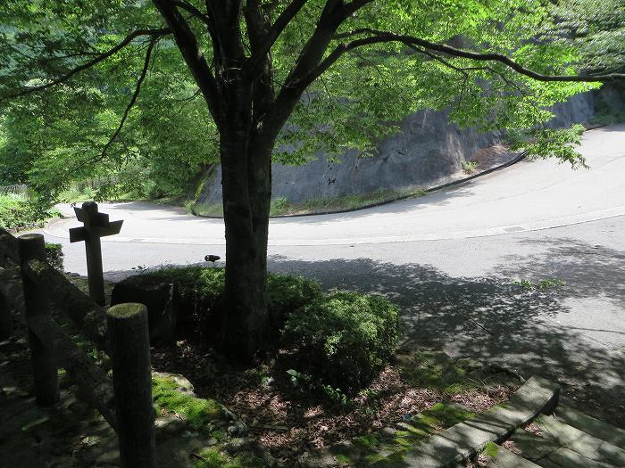 川辺郡猪名川町/大野山～篠山市後川上/古坂峠旧道を散策