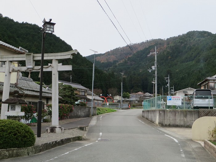 篠山市大沢/大沢ロマンの森を散策