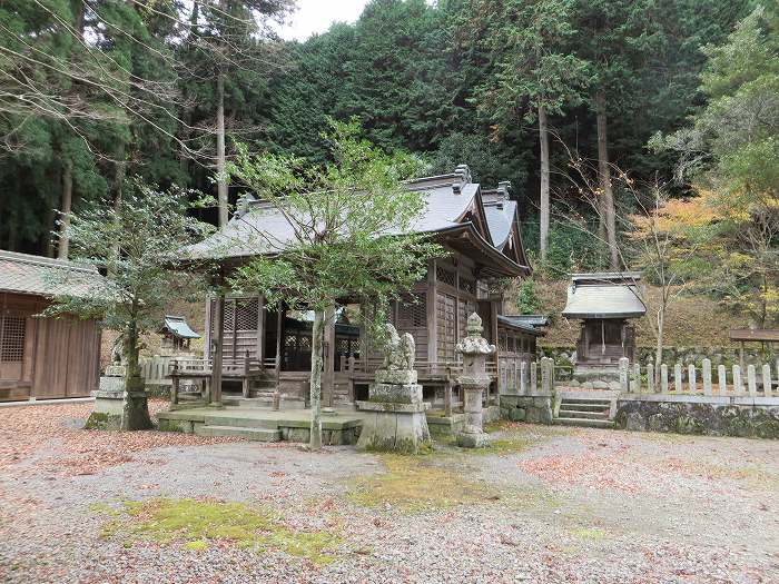 篠山市大沢/大沢ロマンの森を散策