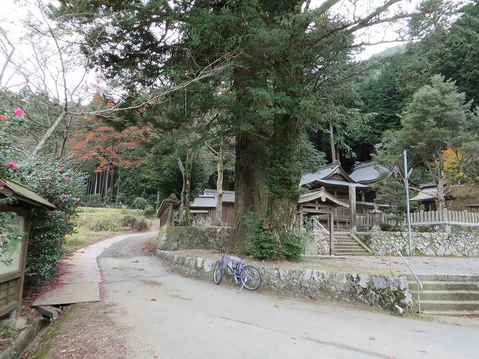 篠山市大沢/大沢ロマンの森を散策