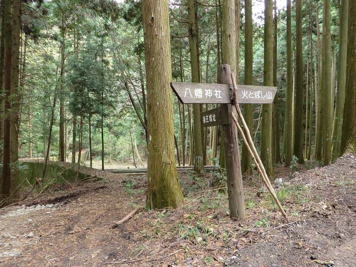 篠山市大沢/大沢ロマンの森を散策