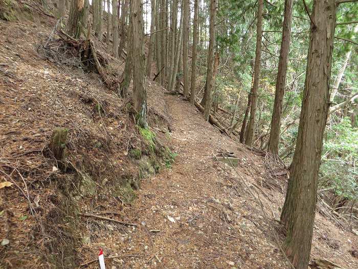 篠山市大沢/大沢ロマンの森を散策